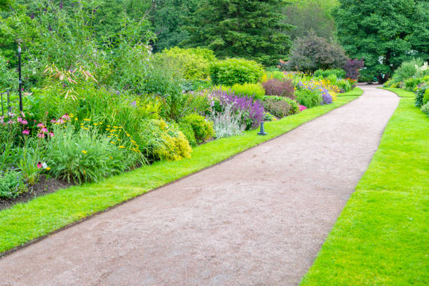 istock Gothenburg Botanical garden 1302485653