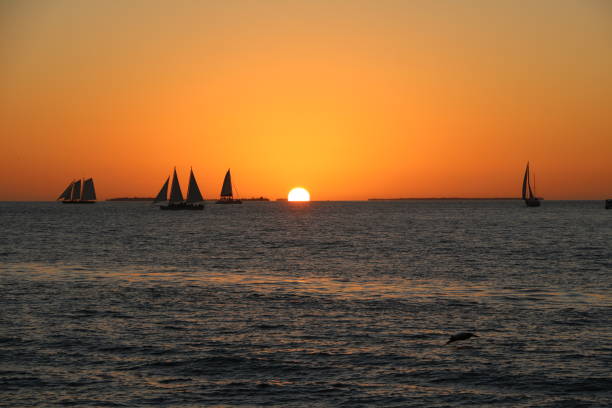 istock Sunset at Mallory Square in Key West, Florida USA 1302487077
