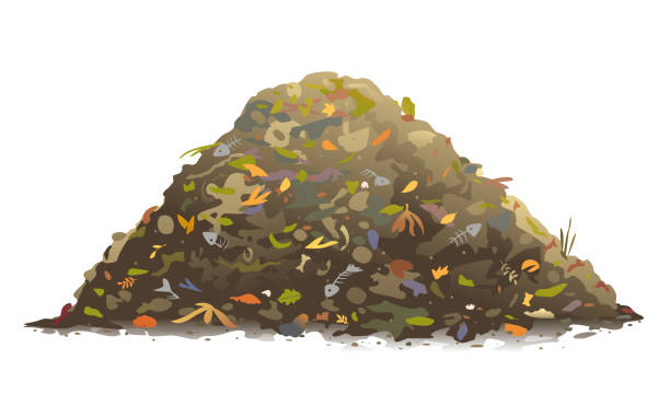 sterta odpadów spożywczych z żywności ekologicznej wyizolowana - garbage dump stock illustrations