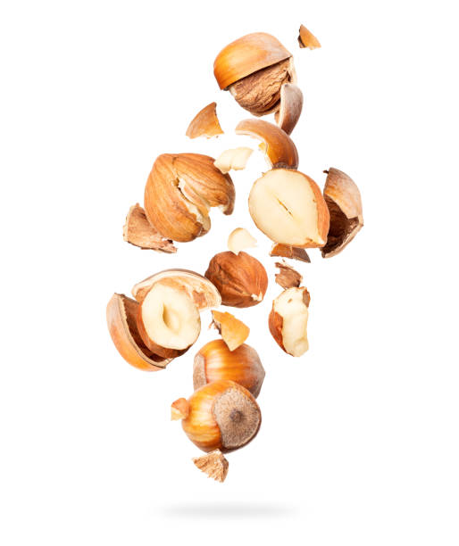 istock Crushed hazelnuts in the air in a chaotic manner isolated on white 1302491627