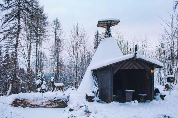istock Winter in Harz Mountains, Germany 1302493654