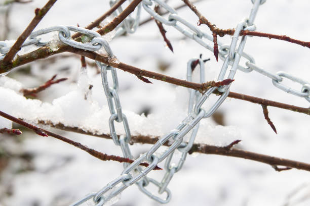istock Metal chain hanging on a bush branch in winter 1302494707