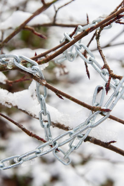 istock Metal chain hanging on a bush branch in winter 1302494710