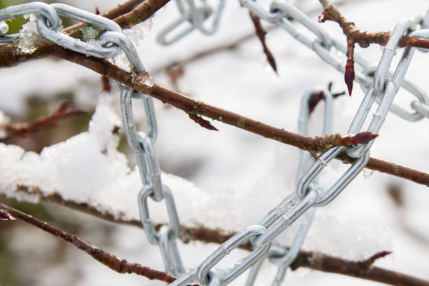 istock Metal chain hanging on a bush branch in winter 1302494713