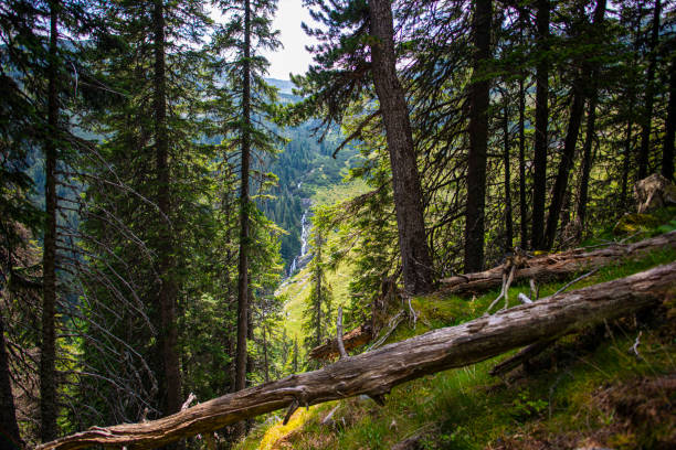 istock View in retezat Mountains 1302496672