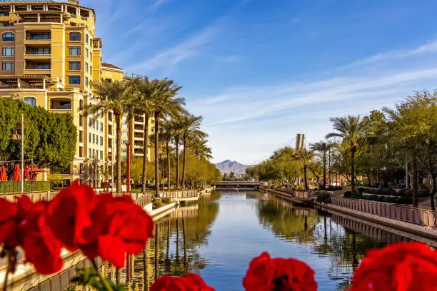 Daytime scene of canal running through waterfront housing and shopping district of Old Town Scottsdale, Arizona USA. Framed with defocused red flowers.
