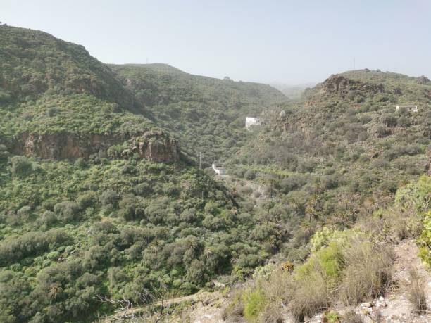 istock Trekking Gran Canaria - ravine El Draguillo 1302498872