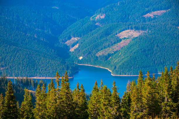 istock Amazing view on Transalpina, Romania 1302499218