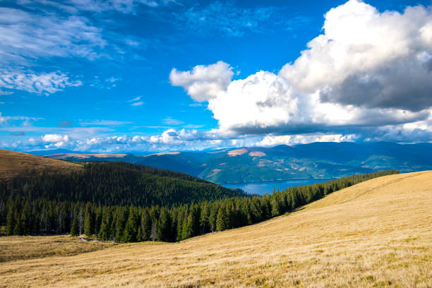 istock Amazing view on Transalpina, Romania 1302499262