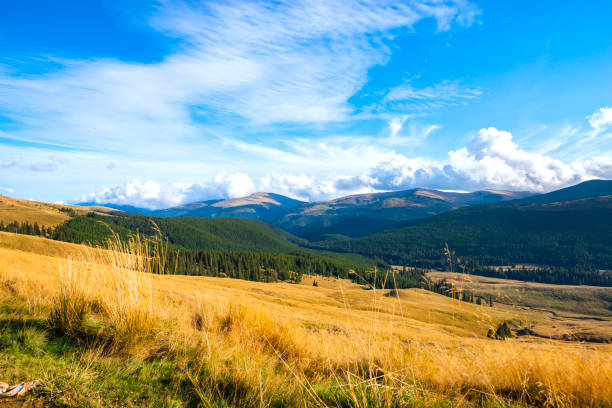 istock Amazing view on Transalpina, Romania 1302499270