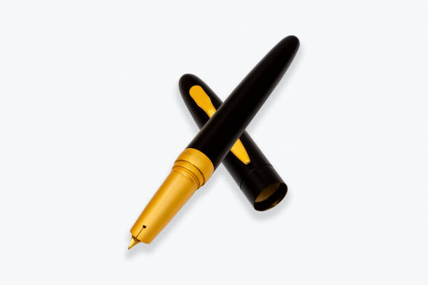 istock Pen expensive and vintage isolated with shadows. 1302499529