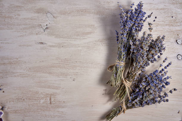 istock Dried lavender flower bouquet 1302499602