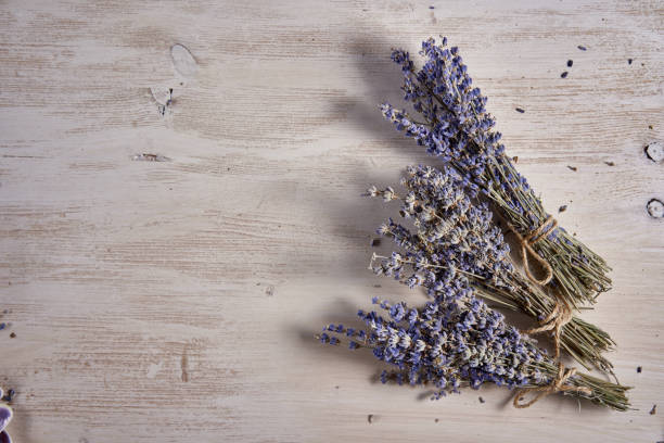 istock Dried lavender flower bouquet 1302499605