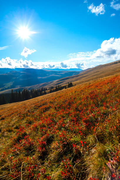 istock Amazing view on Transalpina, Romania 1302499898