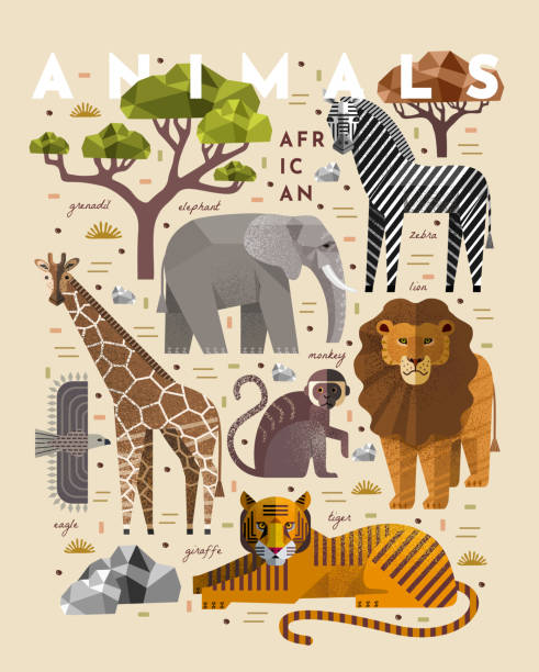 illustrations, cliparts, dessins animés et icônes de animaux. illustrations plates de vecteur de girafe, éléphant, singe, tigre, lion, zèbre, aigle, arbre, savane. dessins africains de flore et de faune pour l’affiche ou le fond - monkey tropical rainforest tree cartoon