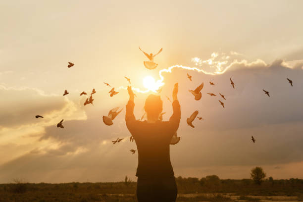 istock Doves fly towards the Sun during prayer. 1302501411