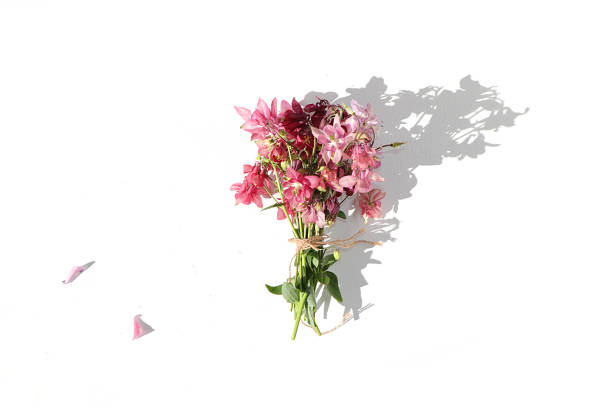 Abstract flower  composition  flat lay, background, minimal holiday concept, spring banner. Mothers day card, womens day, happy birthday, wedding, selective focus, place for text