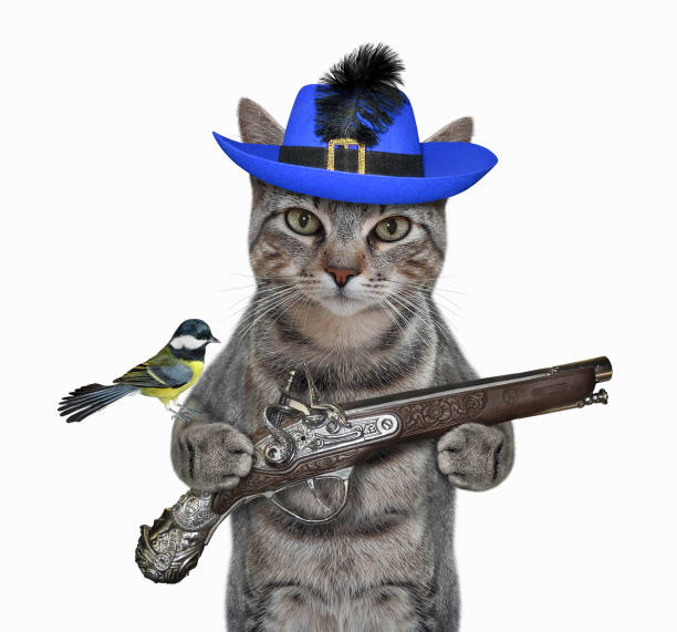 istock Cat gray in blue hat holds old pistol 1302507508