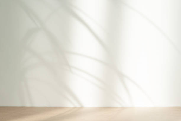 istock Beige abstract background with tropical plant shadows. Minimal creative concept. Copy space. 1302507924