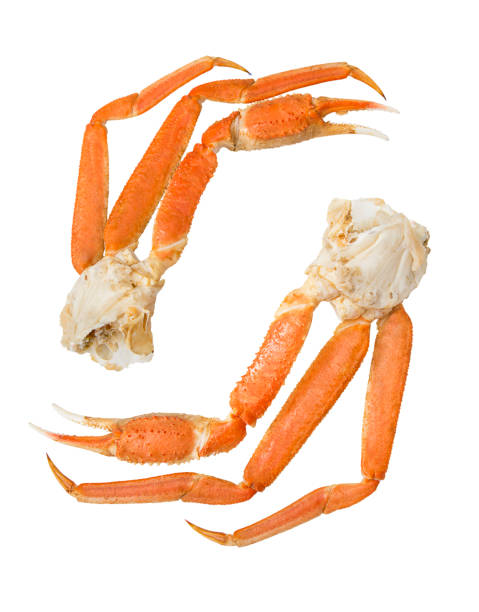 Snow crab  clusters  on a white  background. Snow crab  clusters isolated on a white  background. crab leg stock pictures, royalty-free photos & images