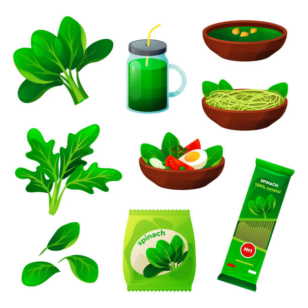 Set of spinach food, flat vegetable products Spinach food vegetable products, vegetarian eating and cooking ingredients, vector flat design. Organic natural spinach smoothie drink, vegetarian fresh juice, vegan soup, salad and pasta package spinach pasta stock illustrations