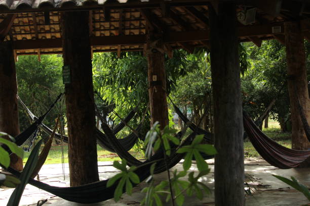 istock Space for rest and leisure with hammocks hanging in the shade 1302512015