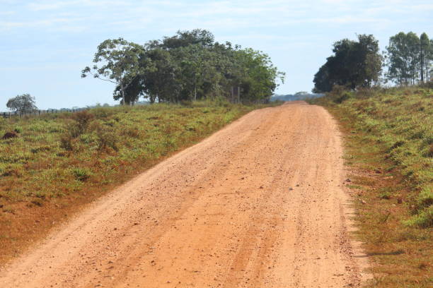 istock Pantanal dirt road 1302512113