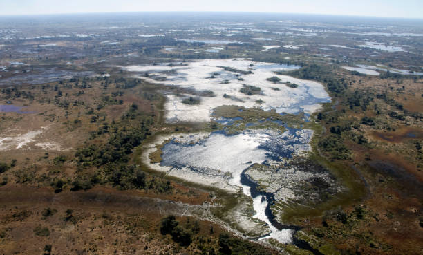 pianura umida e paludosa nelle acque alluvionali di un fiume in un paese caldo. - floodwaters foto e immagini stock