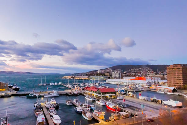 tazmanya, avustralya'daki hobart limanı manzarası - tazmanya stok fotoğraflar ve resimler