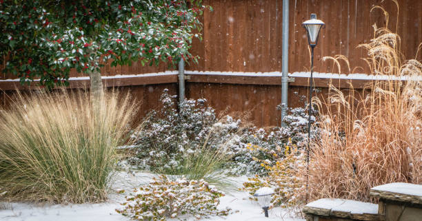 istock Texas Snow Storm Grand Prairie 1302524839