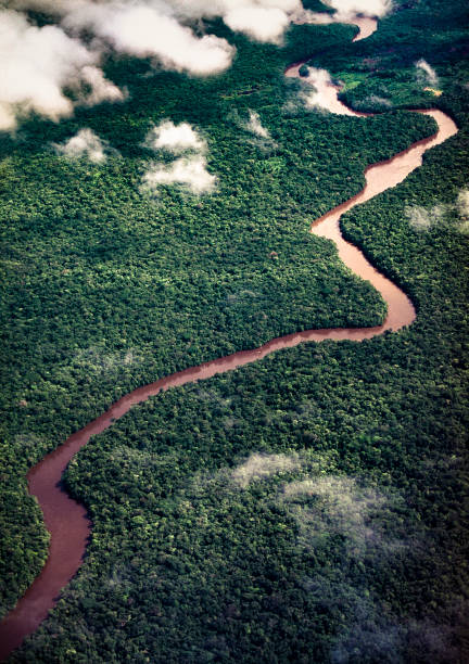 熱帯雨林の空中写真 - amazonas state ストックフォトと画像