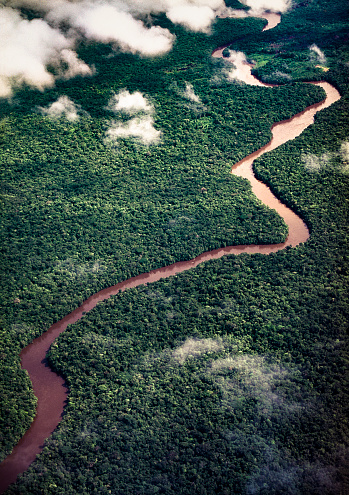 Aerial view of river in the rain forest, Amazonas state, Venezuela
