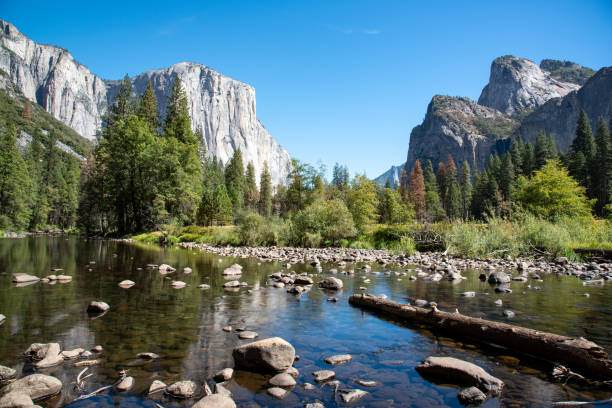 istock Yosemite National Park 1302528261