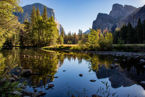 istock Yosemite National Park 1302528535
