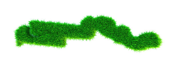istock Grass map of Gambia, isolated on white 1302532427