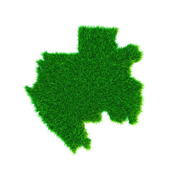 istock Grass map of Gabon, isolated on white 1302532443