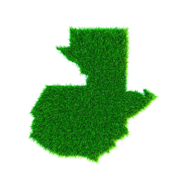 istock Grass map of Guatemala, isolated on white 1302532447