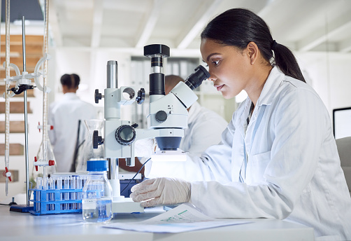 Scientist looking at medical samples under the microscope at the laboratory