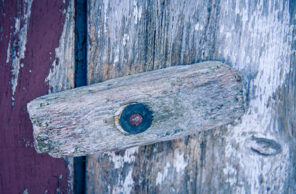 istock wooden door handle on a building 1302535752