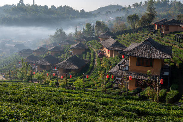 пан рак тай, провинция мэй хун сон, таиланд - mae hong son province стоковые фото и изображения