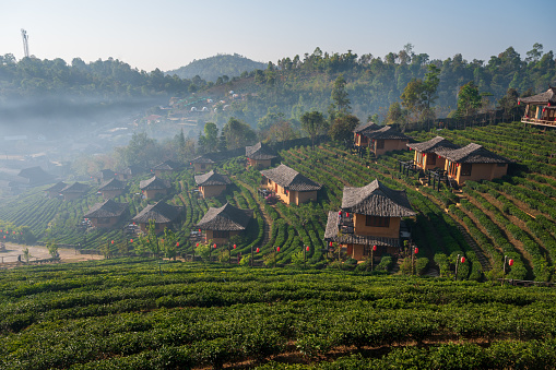 A high angle shot of small rural houses in the green valley in Mirik, West Bengal