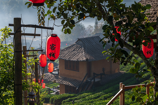 Japanese lantern in the garden