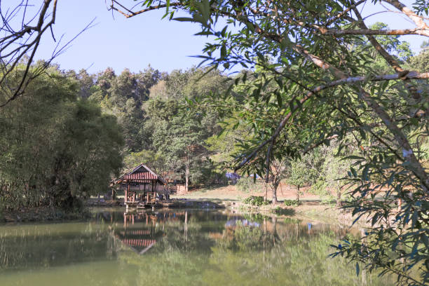 istock A small pavillion by the small pond. 1302537547