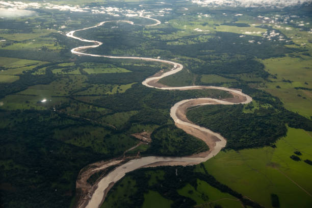 widok z lotu ptaka na rzekę z wilgotnymi lasami wokół niego. kolumbia - lag zdjęcia i obrazy z banku zdjęć