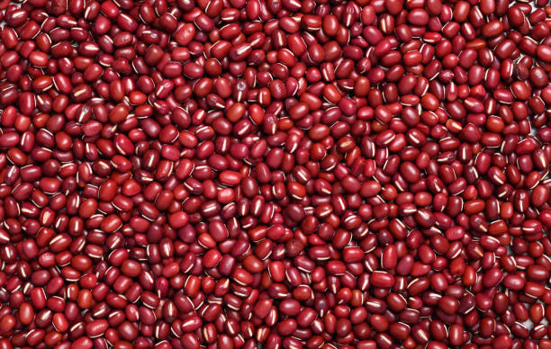 istock Red mung bean seeds or Azuki beans seeds 1302538683