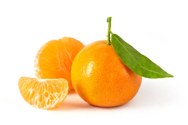 istock Fresh farm tangerines 1302539820