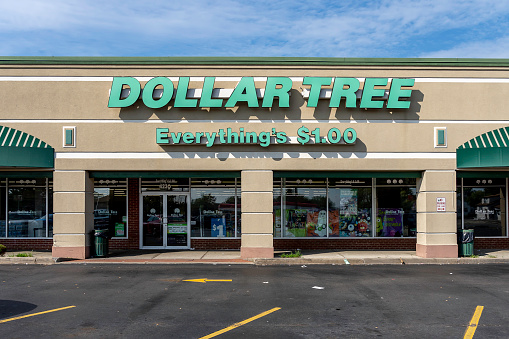 Buffalo, New York, USA - September 22, 2019: Dollar tree store in Buffalo, New York, USA.  Dollar Tree Stores, Inc. is an American chain of discount variety stores.