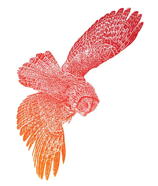 Vector illustration of Great gray owl flying