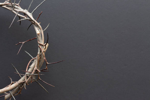 istock Half crown of thorns on black background 1302543853