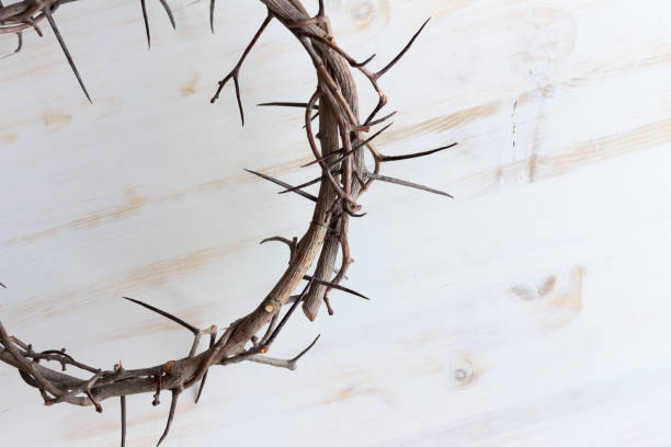 istock Partial crown of thorns from above 1302543855